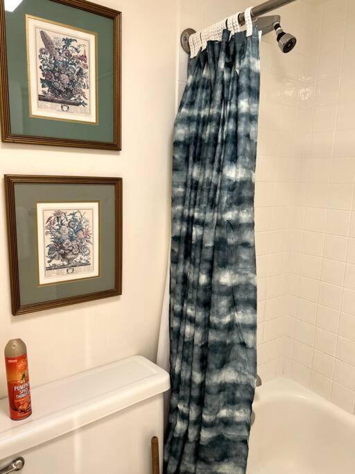 Aloha 1 Bed 1 Bath Sleeps 4 Apartment